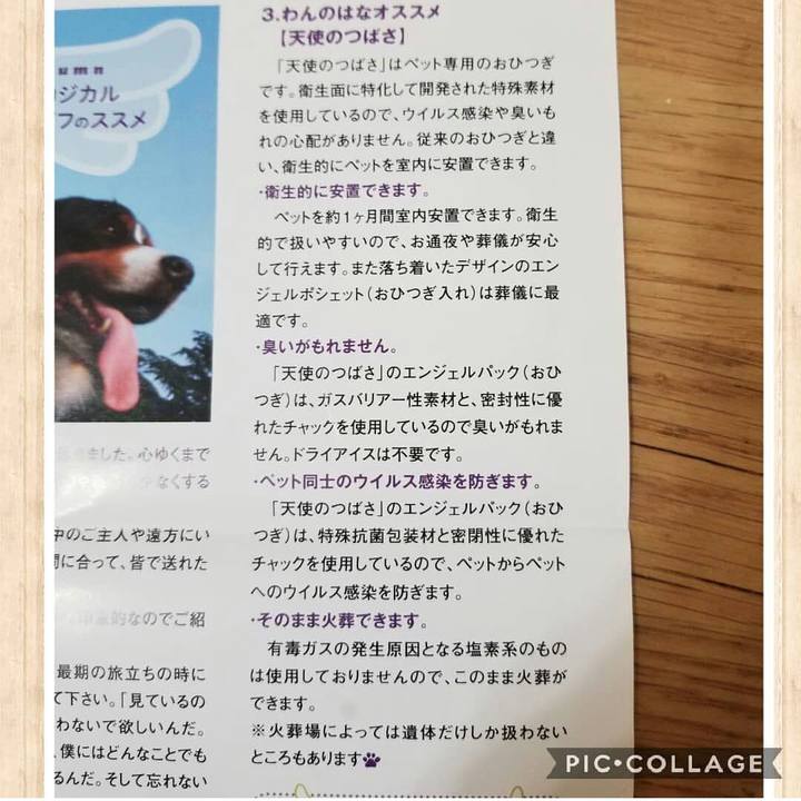 A07f186f b0e5 4d96 8f62 d77aeb679647 1539352329848