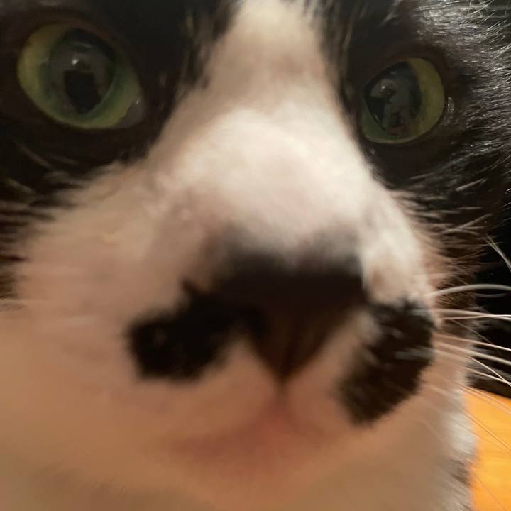 A07f2d9e 12dd 4c02 9c39 db24e9f497fe 1709122905031