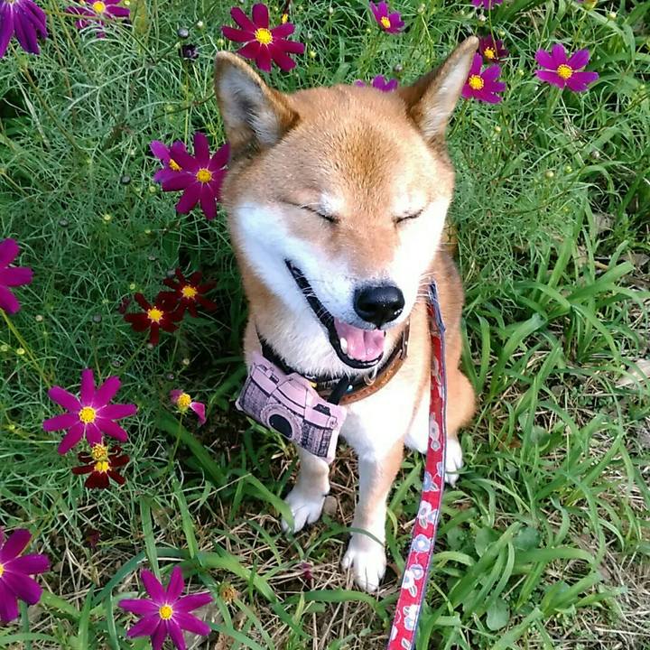 A07f6851 e71c 46f4 a37a e4d00f1a3f3d 1569828893677