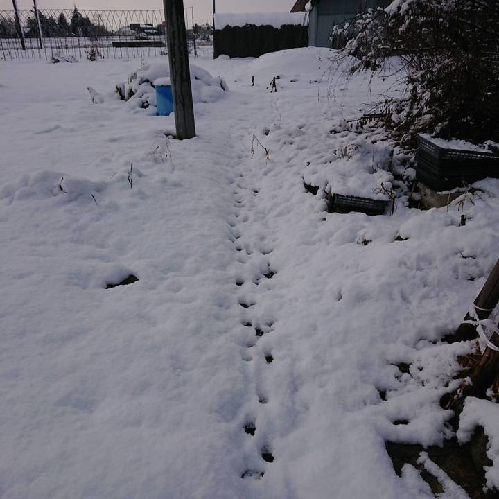 A07f8cd5 bdfc 419f b6cc f4741ed09a9b 1577929395512