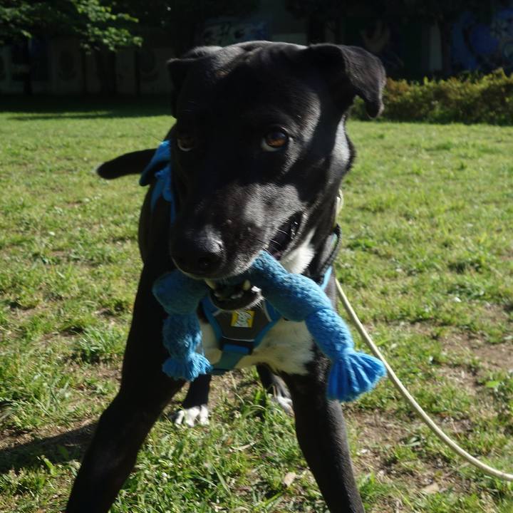 A07f98c8 39f3 4d1d a6e5 d7294b61d2f0 1619394869870