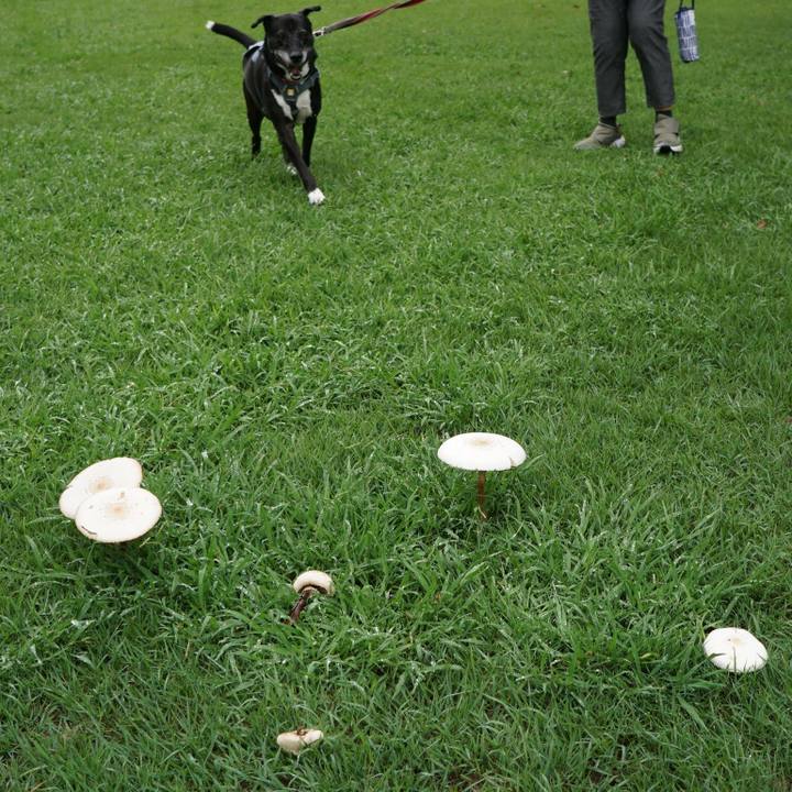 A07fe2de e669 4568 80f7 0bb2aebdda76 1758239364519