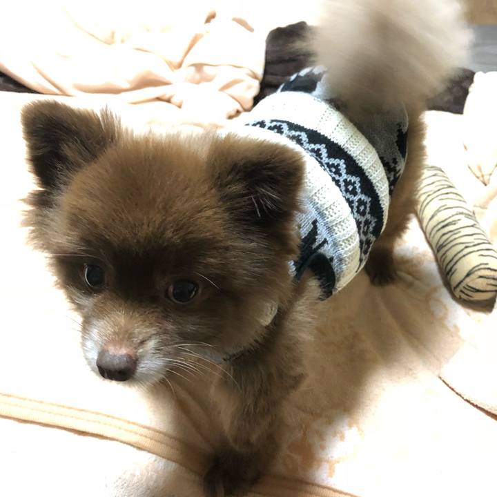 A0800608 348e 4f2a 9b3c 4c25a131cd40 1541295987137