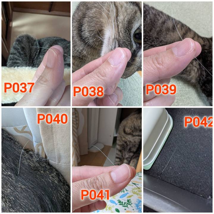 A0800f38 003e 41f3 98c7 9ac58fd2d57d 1758095274104