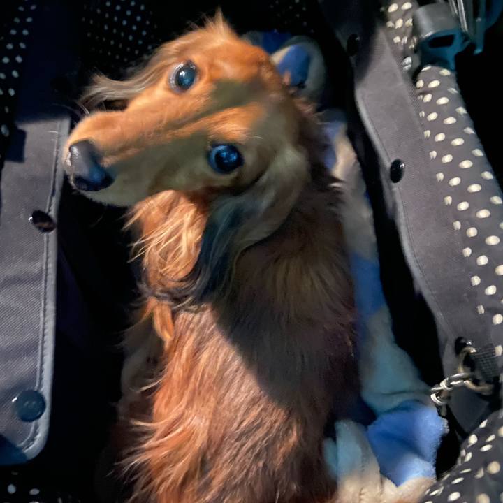 A0802b52 7b3e 4a76 86eb 42113a99ccf4 1643154218031