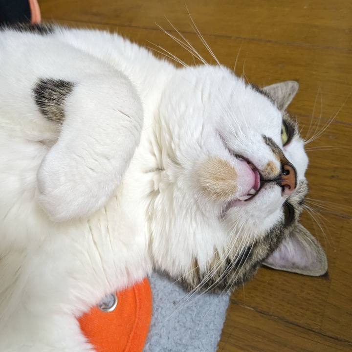 A0802d53 bc52 4fce 90fd 4c7c89c7dbb7 1703682397972