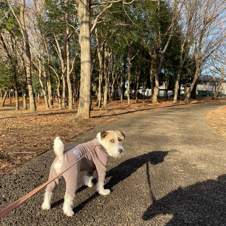 A0806065 b639 44c7 9cf5 1b64ed775524 1673937759096