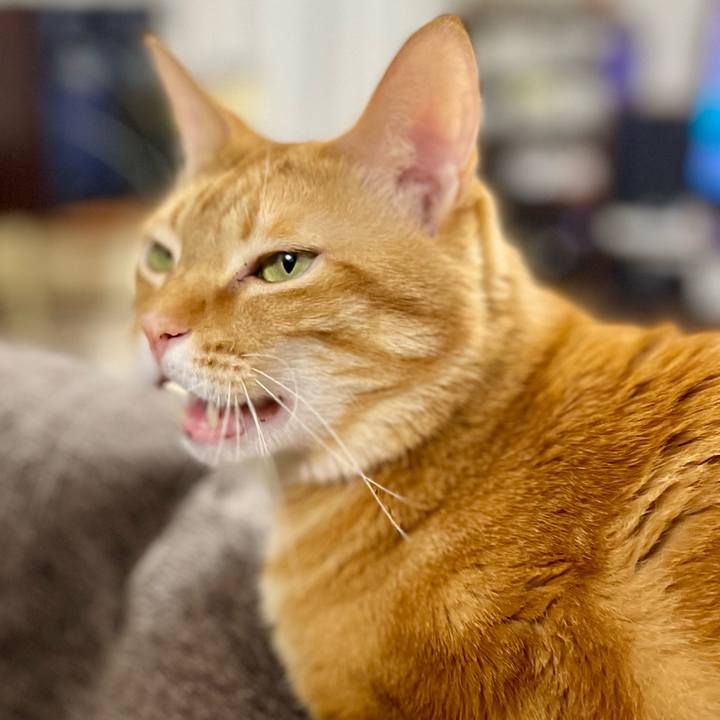 A0807f01 7118 47ee 98bb 478d311a5e1d 1642814656186