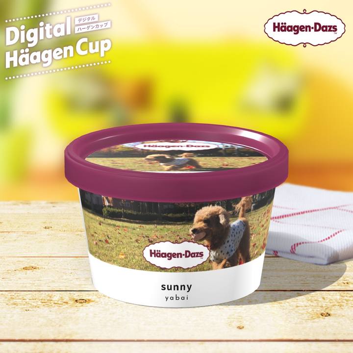 A0808391 d495 4206 935f 0d6f99cd2ff6 1608124526202