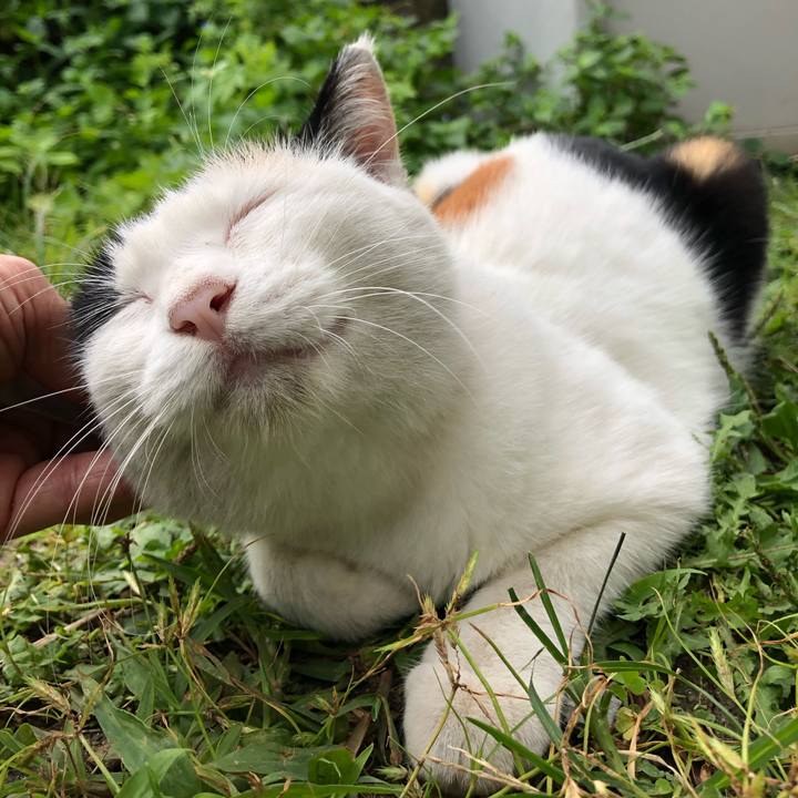 A080a624 352e 48f2 8ef2 49e387cf64a0 1599952466838