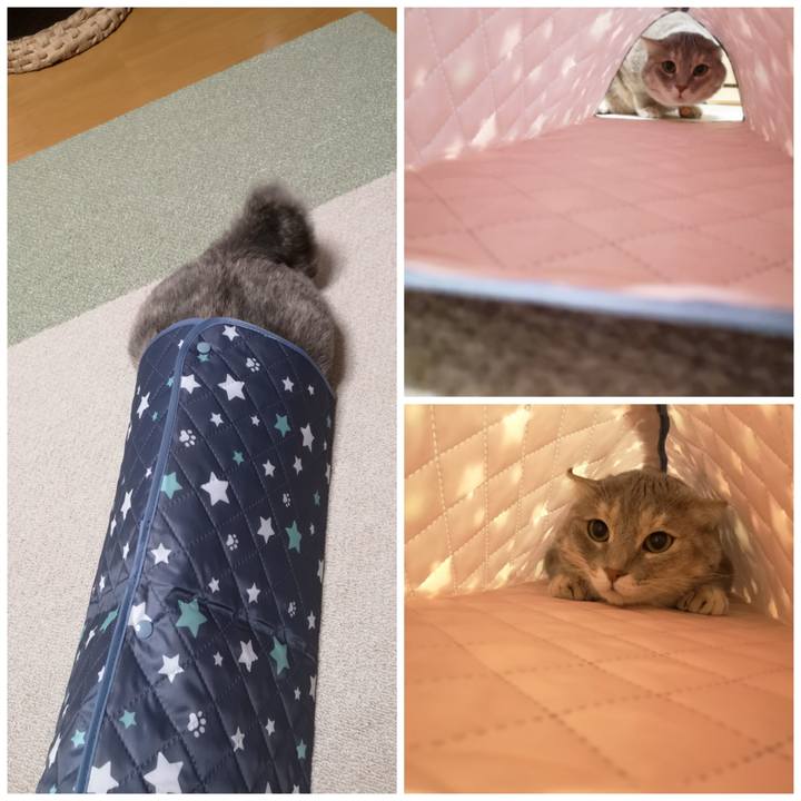 A080c353 e832 4088 a5c4 0fe231675946 1596640343171