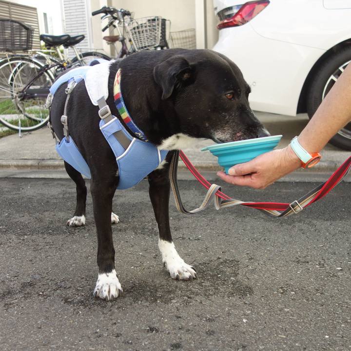 A080c7c1 92e7 425e 8c08 0d9fbcd5faf7 1691716270333