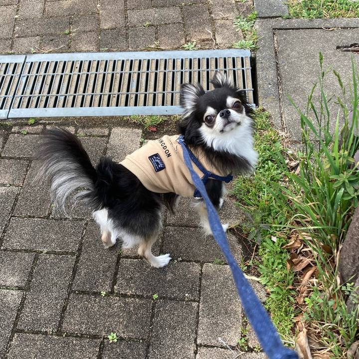 A080e62d 0429 4acb 80e3 b496de6954bf 1679411286200