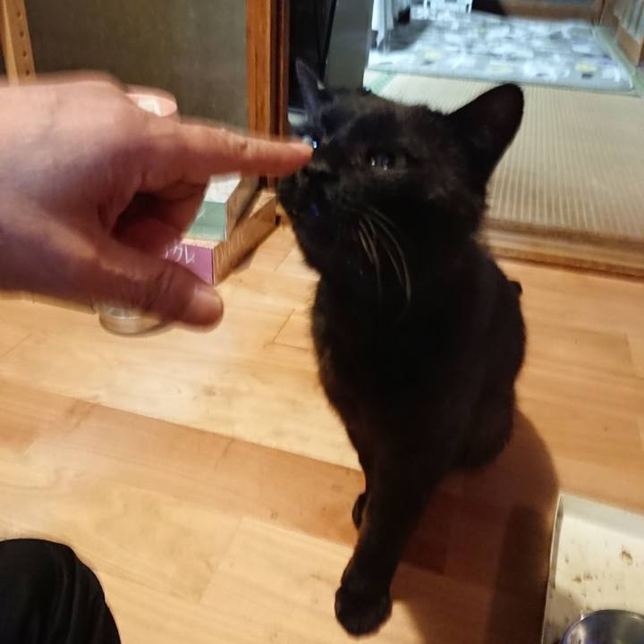 A081058c 4d39 4991 a5a5 c363a5df92a0 1623756361301