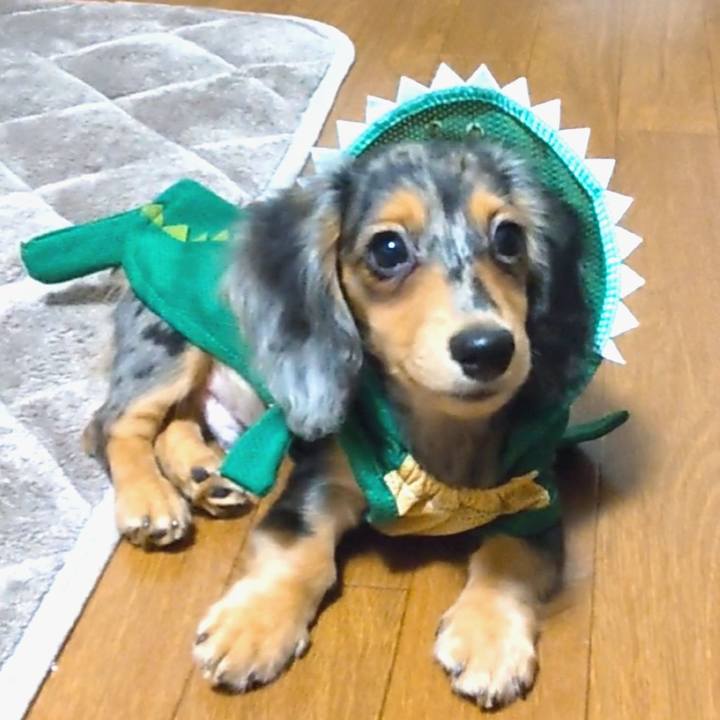 A081252c 2e97 4e93 9d60 7fd250ec754e 1704016736845