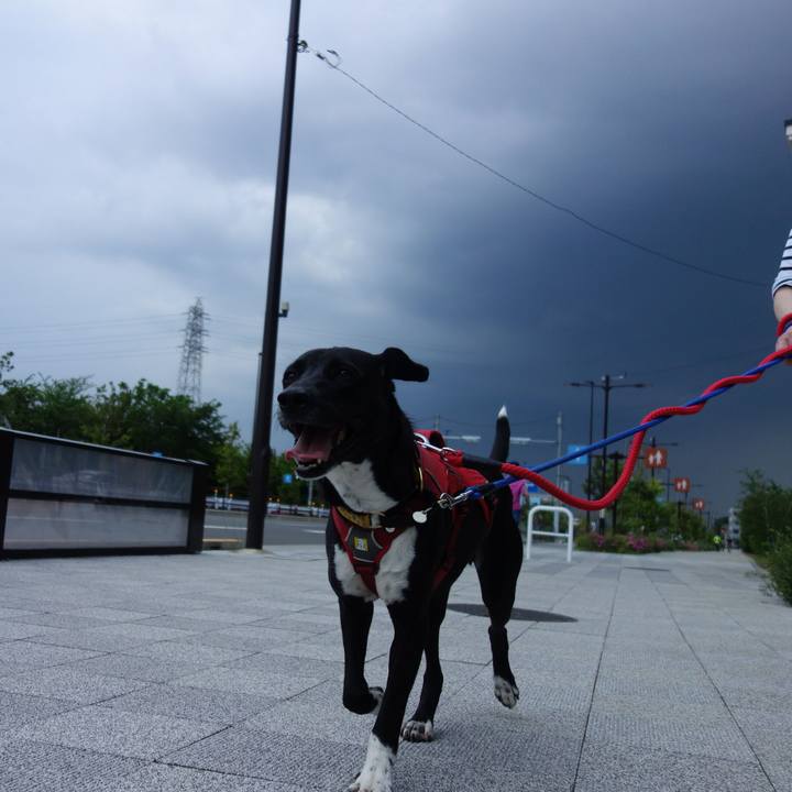 A081419c 7d2b 4e4d 9263 51e2e44fb86c 1588674937590