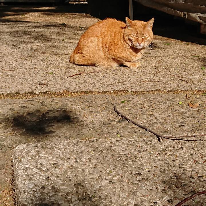 A0815b63 4997 49e0 bbb6 71350dae0ea9 1680999926691