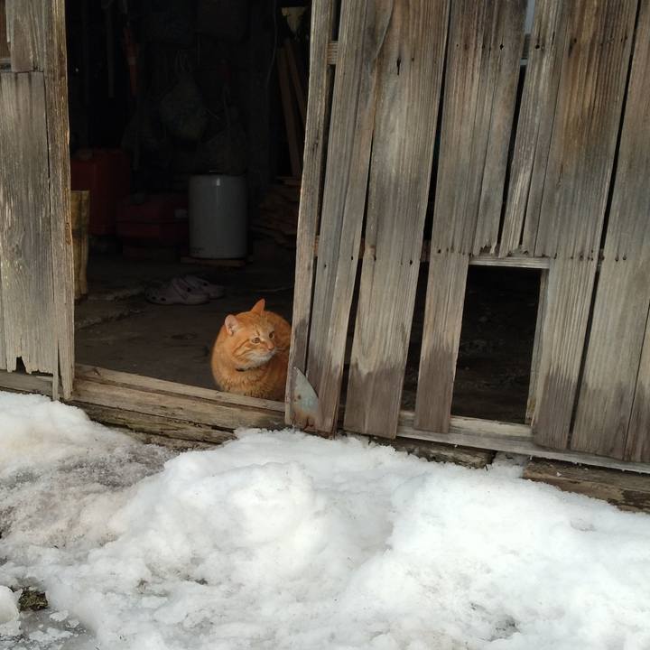 A0815f42 f686 4790 8aa1 32c07866f61e 1675636563381