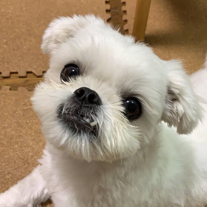 A081dc62 b829 4315 916e 4afbf1599c6f 1630321759243