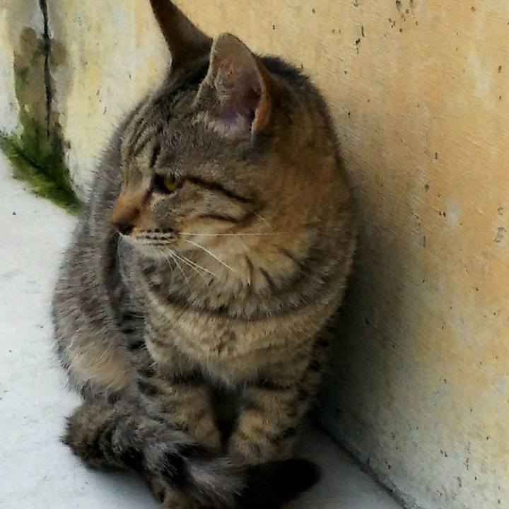 A081dfde 3f09 4c3e 9e35 6de5a605f427 1510812535233