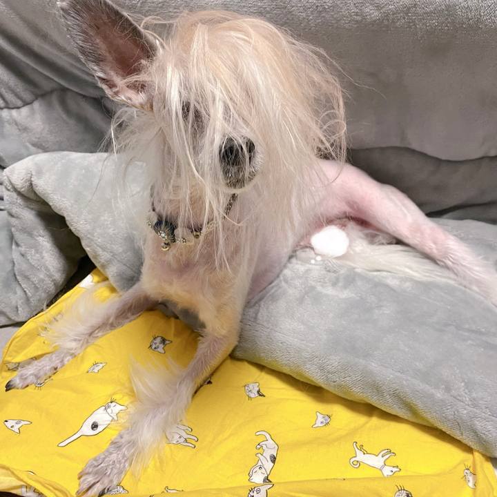 A0821957 c529 4de7 aaaa 27d9e87ba1d7 1767865160514