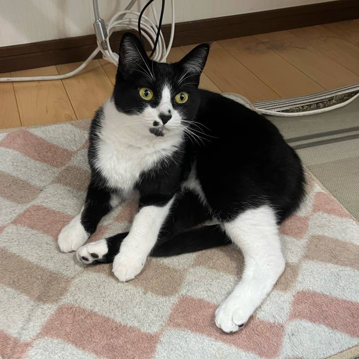 A0821a85 1428 4604 a46e 055b5b4d4f52 1734668994943