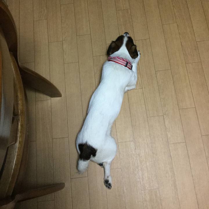 A0824ebb 8085 48fc a474 06499e22e4bf 1522661153718