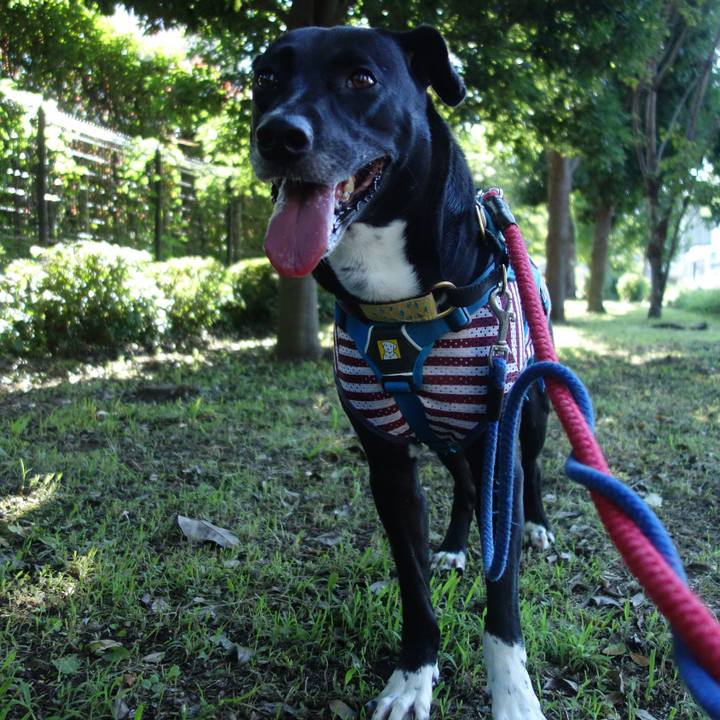 A0824ff7 06af 4ca4 8114 ba9f9a69190f 1626567621504