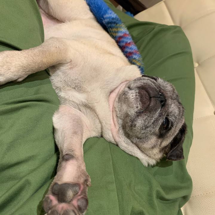 A082a8ba 435f 4154 99f0 429c49b6e89f 1692081693716