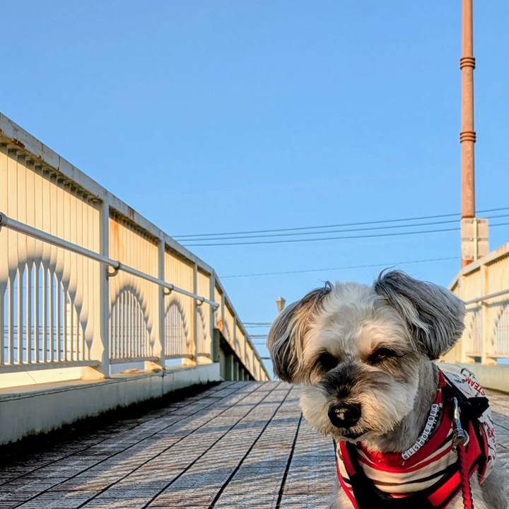 A082b2c7 72ad 4f42 b299 d38a43fed568 1759624643889