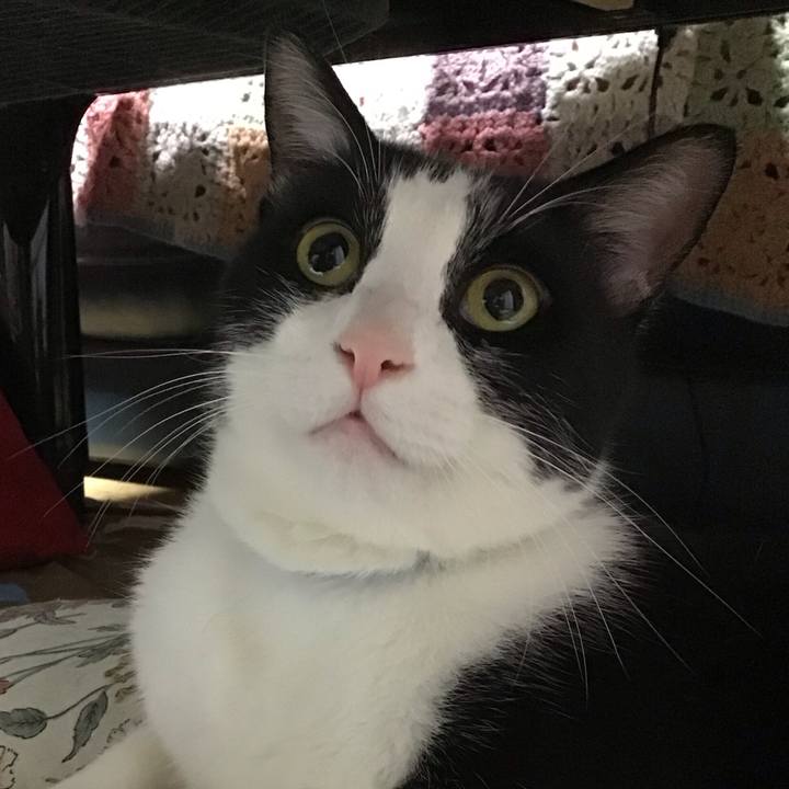 A082d573 3a80 4bda b2d7 f1730b81854d 1728820438866