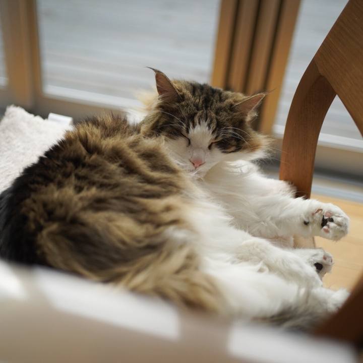 A082dded 1fa9 47a2 9d8d 3f569bf7696b 1586066457487