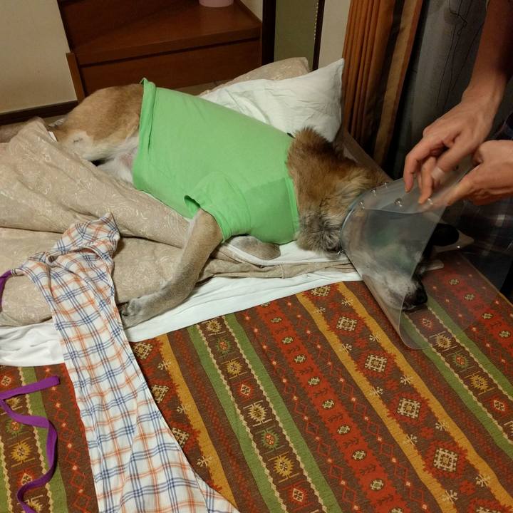 A082e3fd c985 4f8b a1e8 be3346b6639f 1515771816153