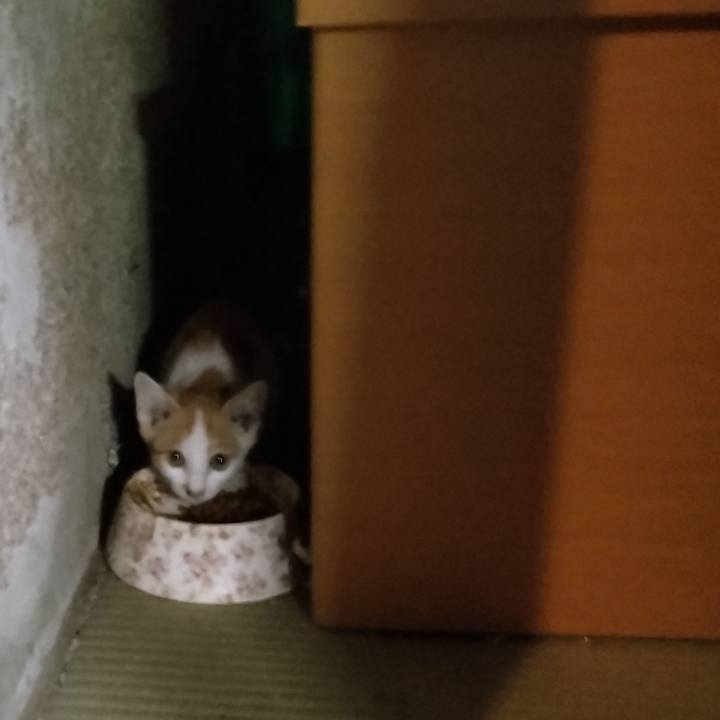 A0832237 c7ec 4460 b215 28cada94a1ee 1724235158739