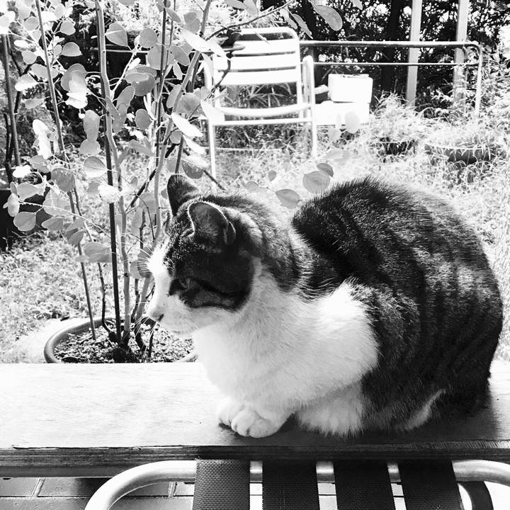 A0834790 9a95 4f14 be1f 1f04b30330f6 1508917838499