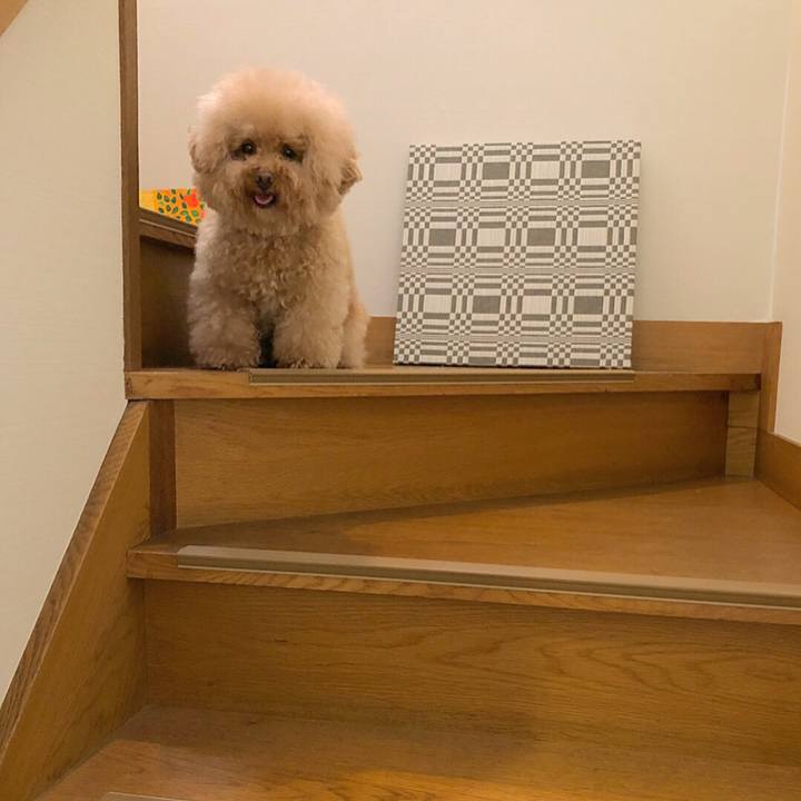 A08387db 8aab 4d81 b6ac b0c930b3fb28 1533882505846