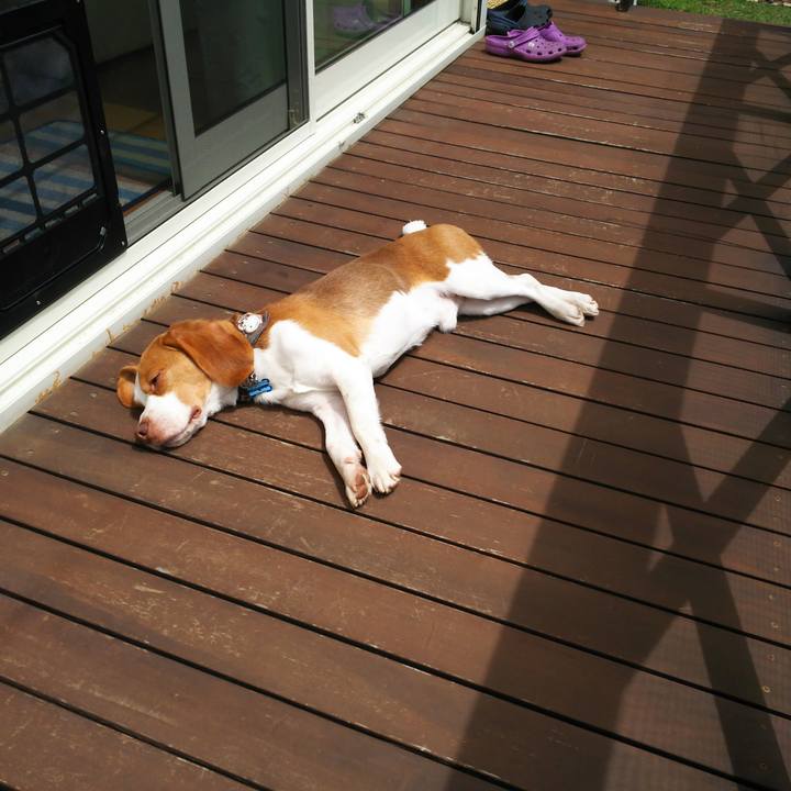 A083e13f acc0 4867 8483 a9610c9600b2 1556678969208