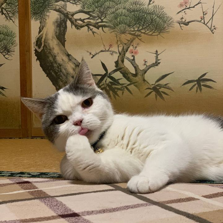 A0843434 ebdf 4118 8ef0 2a9cfaabc9ee 1709290856287