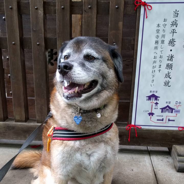 A084a8ee a871 46dc a225 4eabe73aa2f0 1528764568415