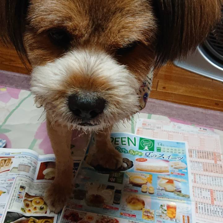 A084cbb0 4bc6 430a 994f 9d45cd620c76 1560953340420