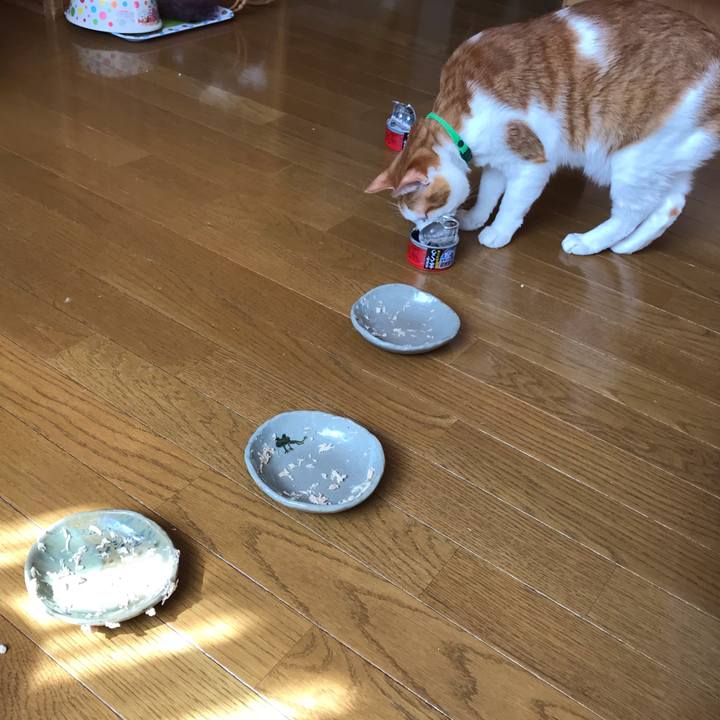 A0852466 8c6d 4dbd 902e 8f8cf8be0183 1584843007237