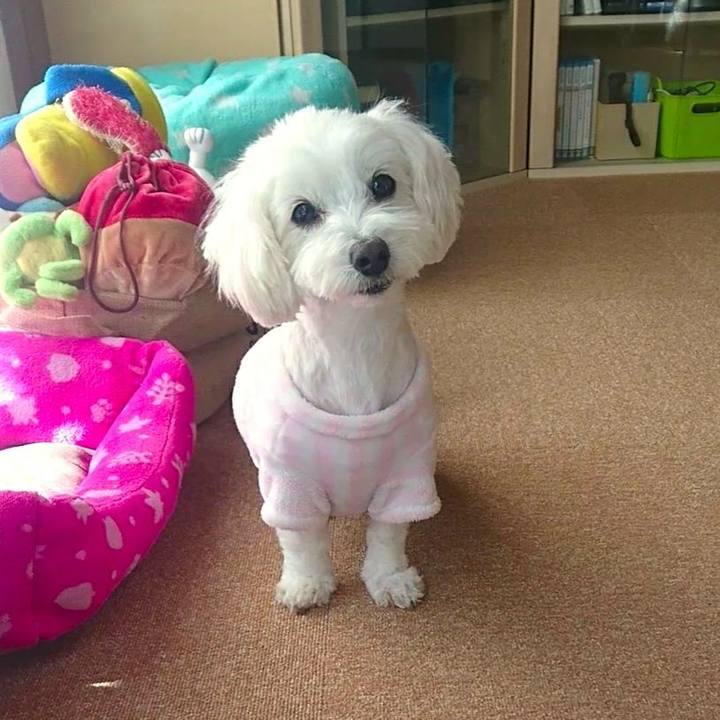 A0859056 2f12 40c7 8745 83ab14012eac 1517720787679