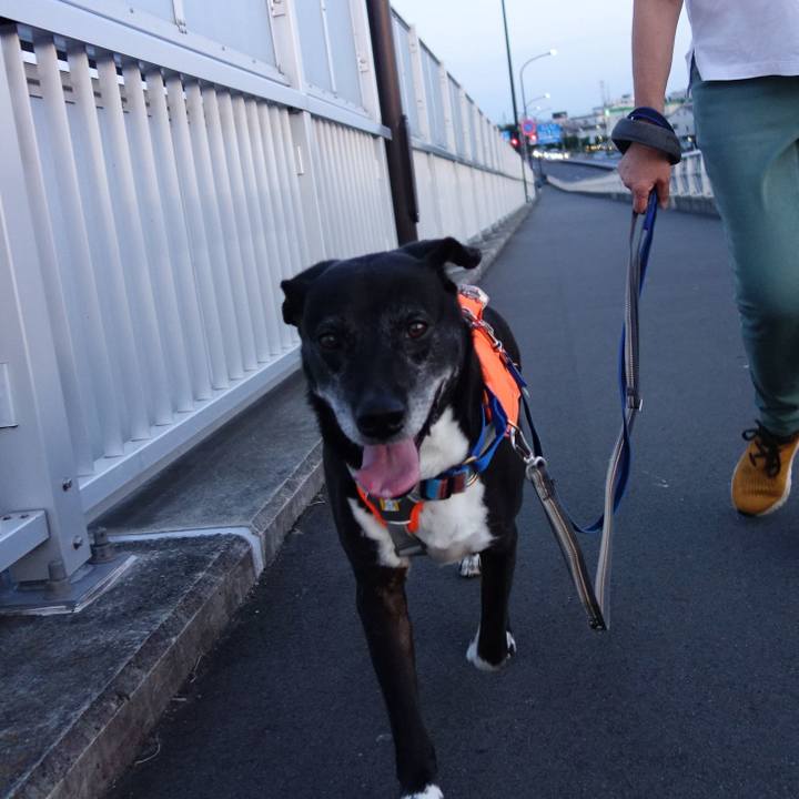 A08597f0 71af 4739 bec2 c64ce5e05db7 1750503852338