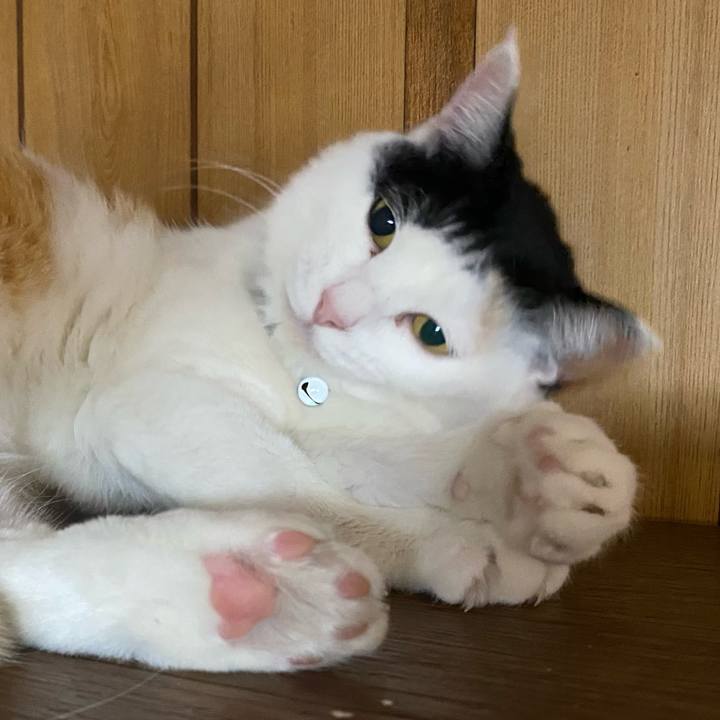 A0859c82 6340 4348 8666 ad3b48b7d8b6 1648501580521