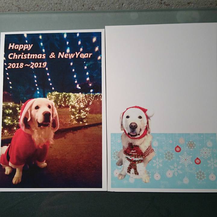 A086110f 9940 4eee b44a cb75bcc2d27c 1544969168951