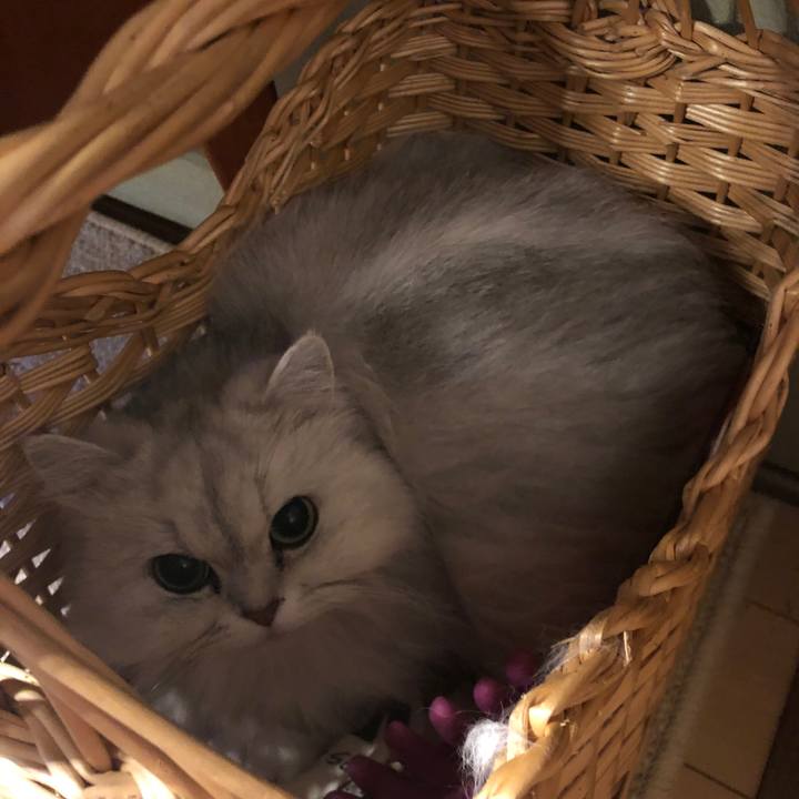 A0863124 458a 41b8 9594 3257fbfe0456 1618238645553