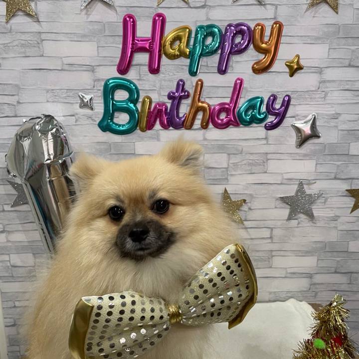 A0864e4b a7eb 4a8c ae6a 1b6ebed69648 1633266435855