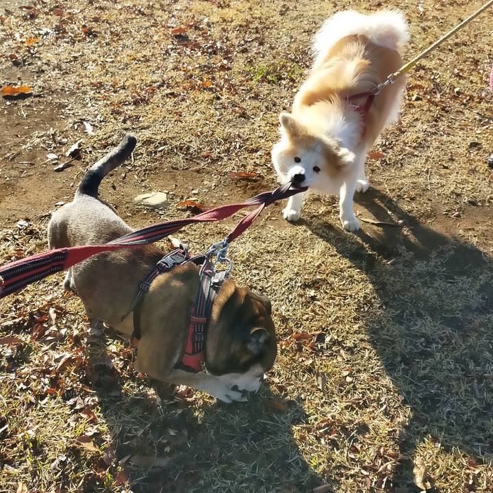 A0866692 eaba 49f7 bb65 7520d793eeda 1636889045400