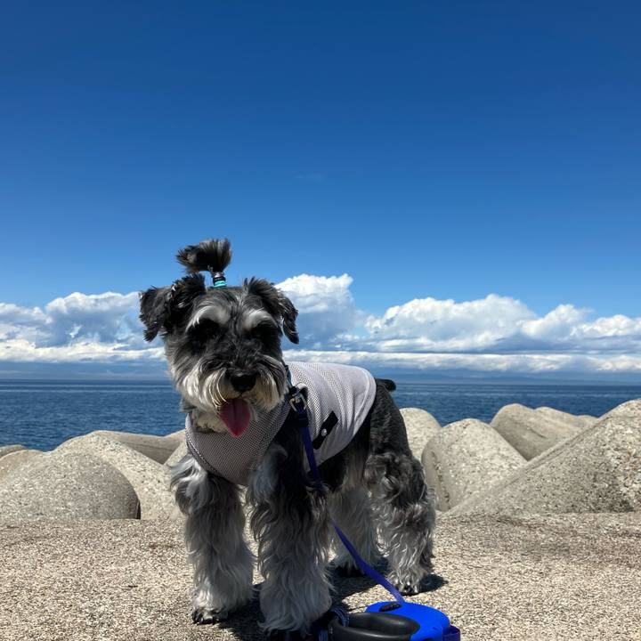 A0869e8e 0d29 440a b331 dc8ebb398593 1715870971533