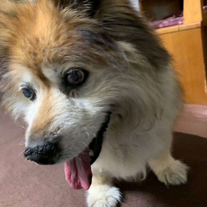 A08720d9 291b 4d84 b77e eb86c18261b4 1641517041367